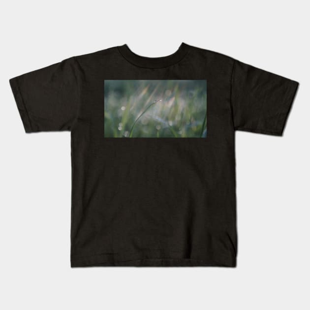 Raindrop on a Blade of Grass Kids T-Shirt by 1Redbublppasswo